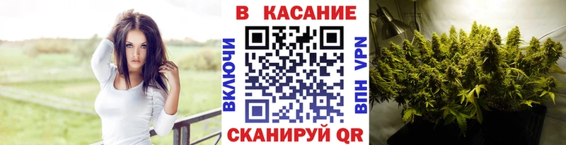 Виды наркотиков купить Шуя Cocaine  Псилоцибиновые грибы  МАРИХУАНА  Бутират  СК  Меф 