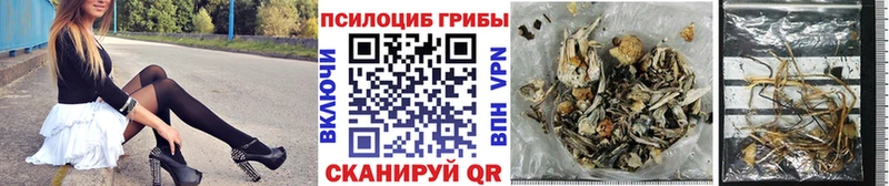 Псилоцибиновые грибы MAGIC MUSHROOMS  как найти   Шуя 