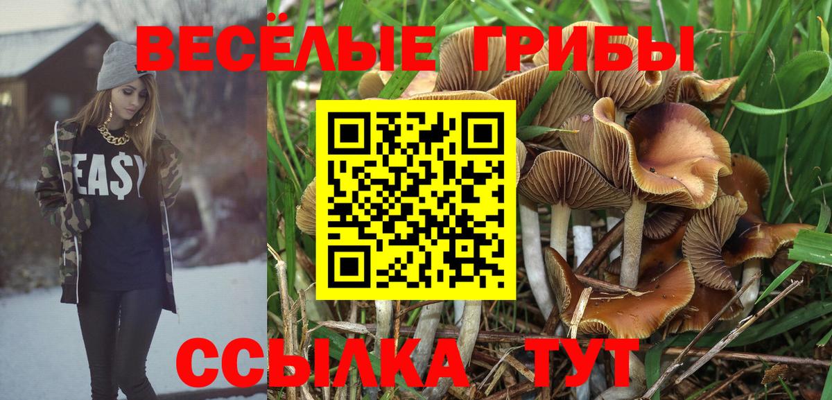 Псилоцибиновые грибы Psilocybine cubensis Шуя