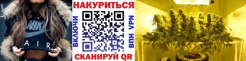 МАРИХУАНА план  Шуя 