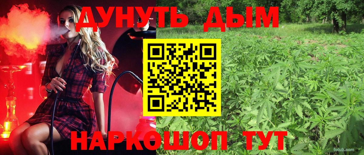 Каннабис план  Конопля марихуана  Шуя  Бошки Шишки White Widow  Вход с VPN  Бошки марихуана индика 